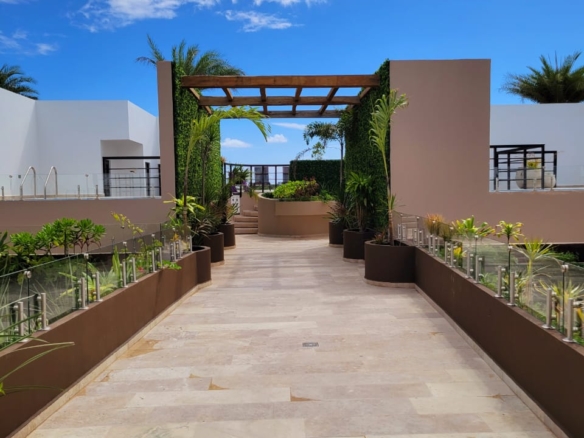 Estudio llave en mano en venta y renta en Tulum