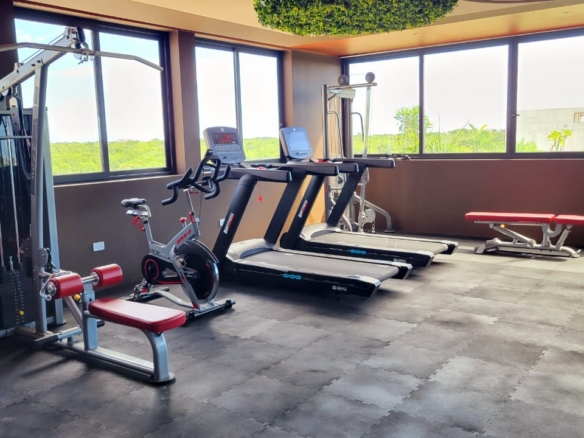 Estudio llave en mano en venta y renta en Tulum