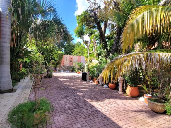 Historic house in Merida Yucatan