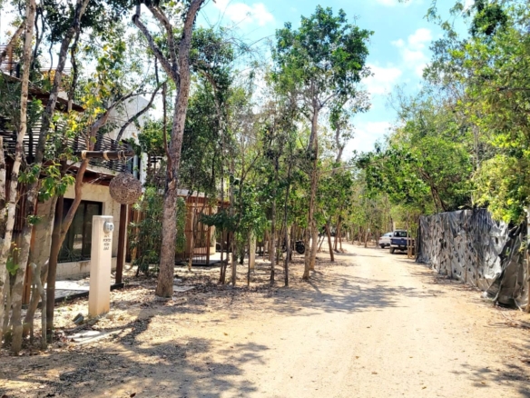 Condo de ensueño con cenote privado
