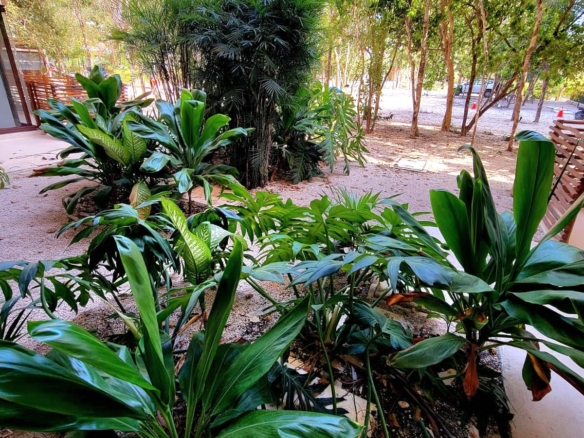 Condo de ensueño con cenote privado