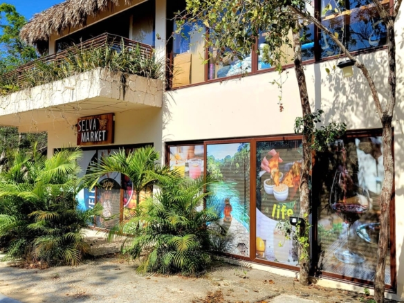 Condo de ensueño con cenote privado