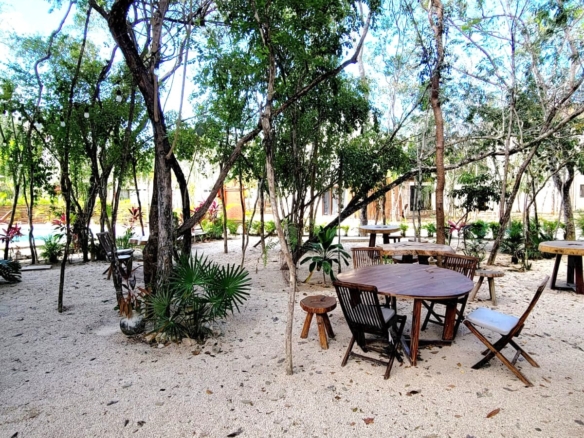 Condo de ensueño con cenote privado