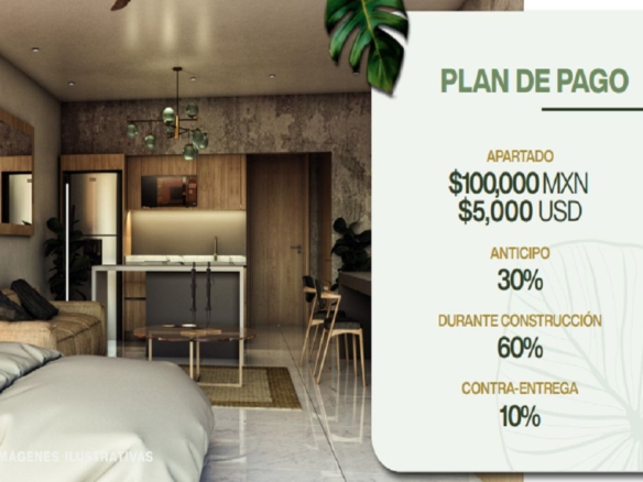 1 Bedroom apartment