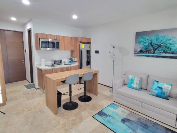 Beautiful condo studio