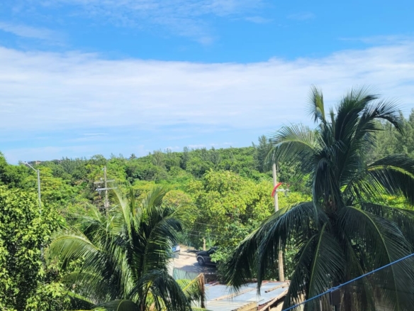 Hermosa vista al mar y al manglar