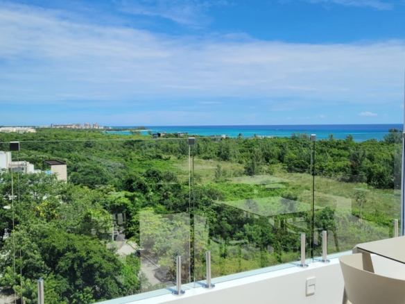 Hermosa vista al mar y al manglar