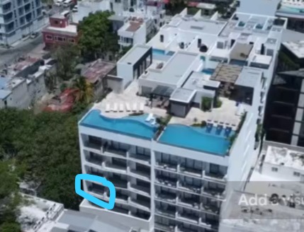 Camina a la playa, Quinta avenida y supermercados